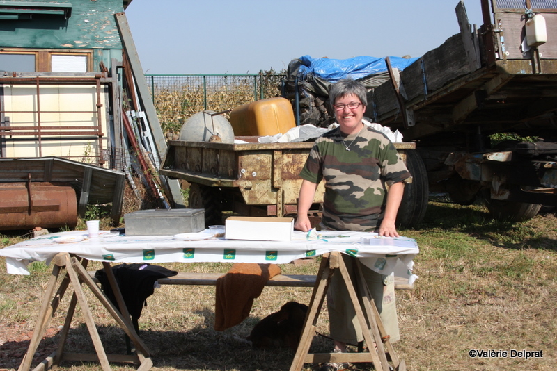 Field Erstein 09 (80).JPG